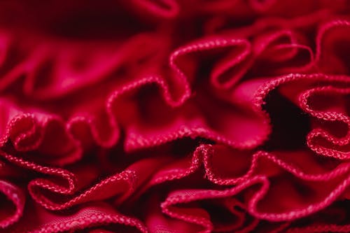 Close-Up Shot of Red Fabric
