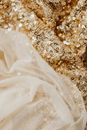 A Sheer Fabric and Sequins