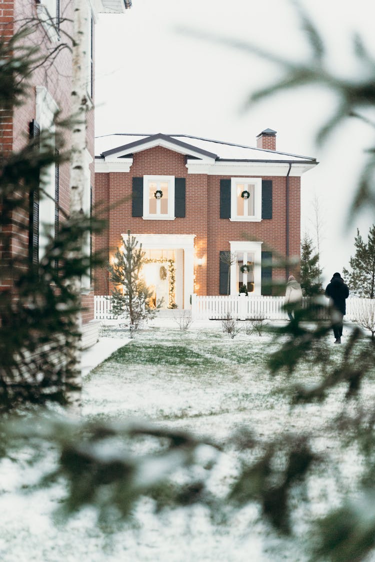 Trees In Front Of A House In Winter