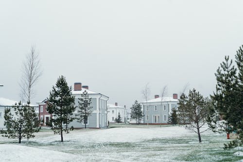 Buildings in Winter 