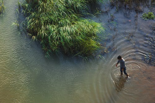 Free stock photo of background, beach, bharatha river