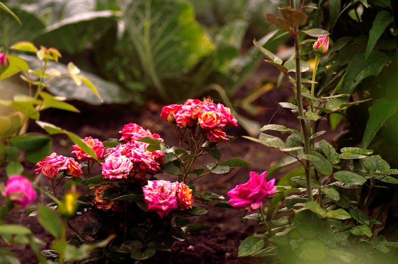 Control central del sistema