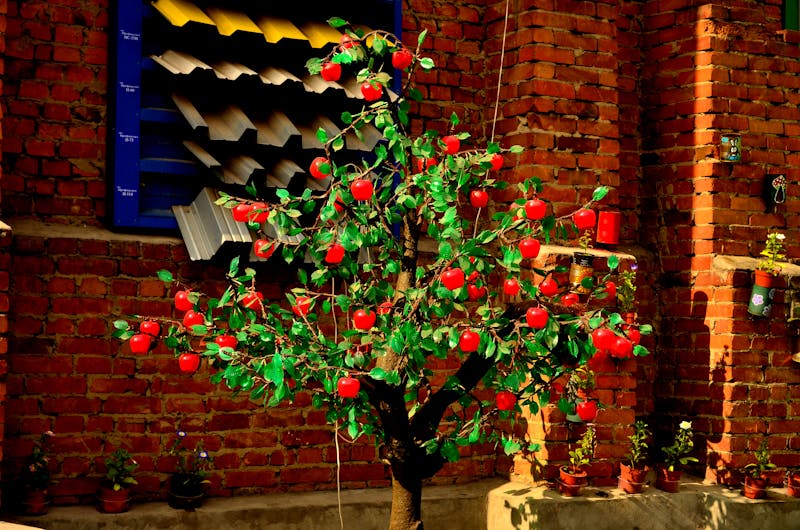 Birou modern cu folii decorative pe geamuri