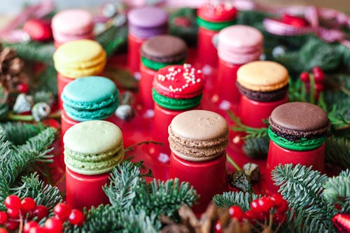 Collection of delicious yummy macaroons represented on red serving board decorated with fir branches