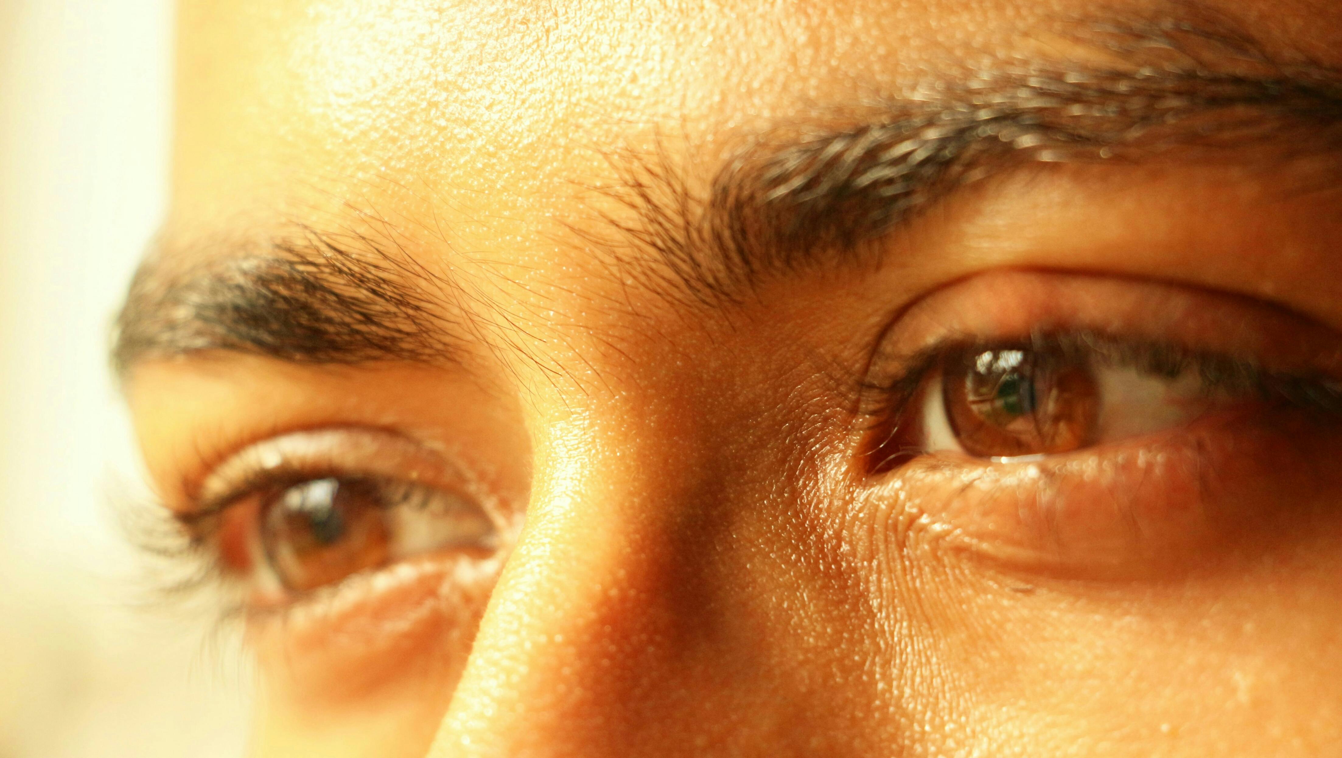 Free stock photo of big eyes, daylight, dry