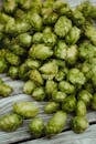 Free stock photo of agrar, agriculture, ale brewer