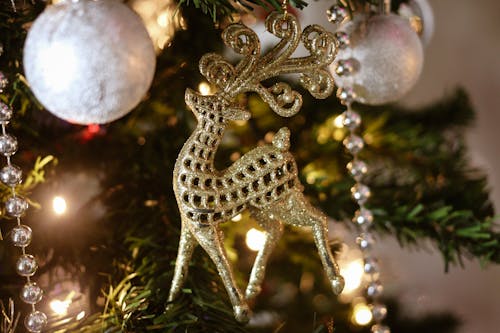 Close Up Photo of Ornaments Hanging on a Christmas Tree