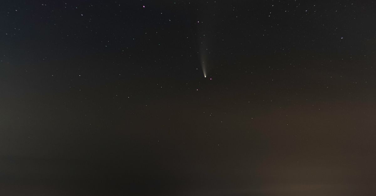 comet 220p/mcnaught