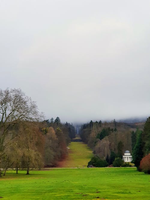 Бесплатное стоковое фото с bergpark wilhelmshöhe, wilhelmshöhe, дерево