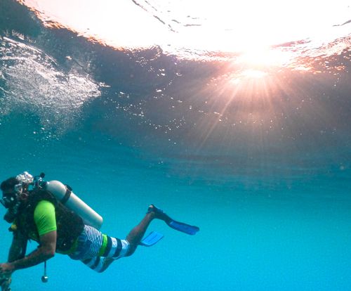 Free stock photo of blue, ocean, underwater Stock Photo