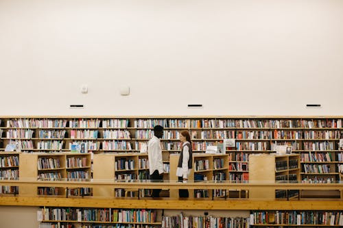 Gratis stockfoto met bibliotheek, binnen, blanke vrouw