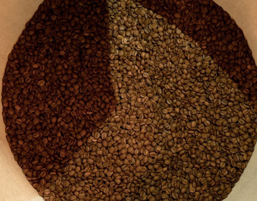 difference between light and dark roast
