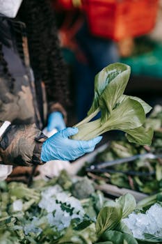 Unrecognizable salesperson in gloves picking fresh green spinach salad while standing at stall of grocery shop in street market