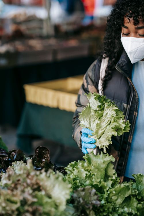 Free Crop African American female in mask and medical gloves carrying lettuce while choosing vegetables in store Stock Photo