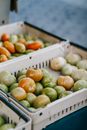 Boxes with green tomatoes in market