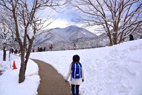 Gratis lagerfoto af blå, japan, Kærlighed