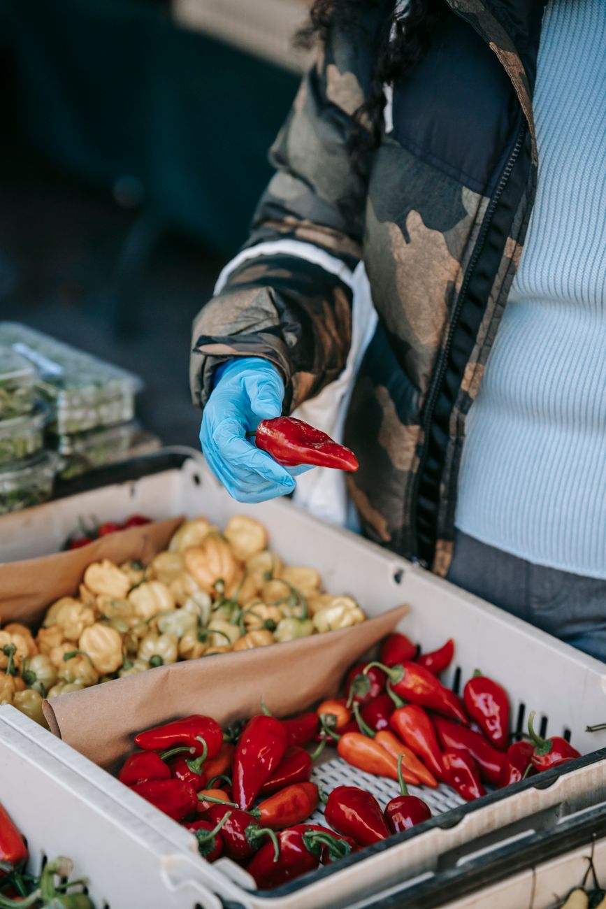 Unrecognizable female in protective glove picking red anaheim pepper while standing at stall with box of products in local ma