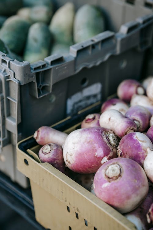 Free Colorful heap of raw whole turnips placed in containers on stall in local grocery market in vegetable section on blurred background Stock Photo