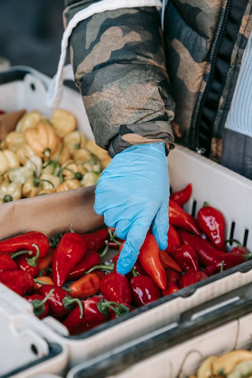 Crop anonymous customer in protective gloves picking red peppers from container while buying goods on farm market during coronavirus pandemic