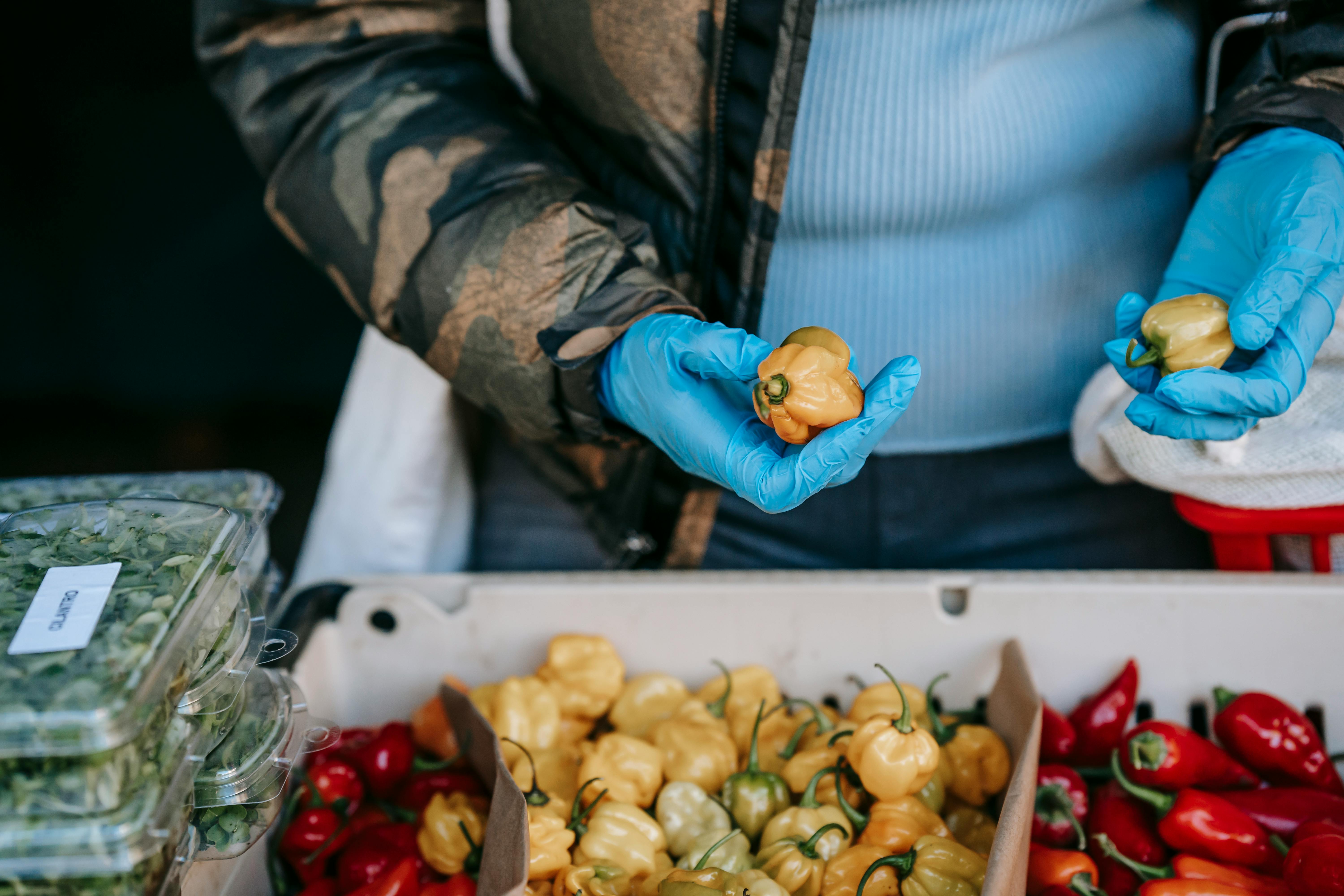 buyer in gloves picking fresh peppers in market