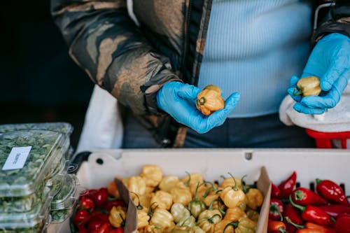 Buyer in gloves picking fresh peppers in market