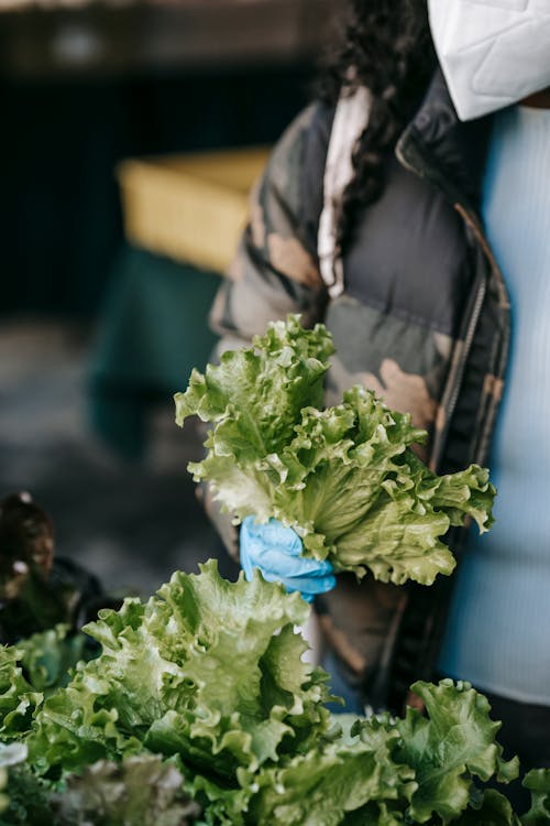 Crop unrecognizable female buyer in protective mask and gloves choosing fresh green lettuce while making purchases in food market during coronavirus pandemic