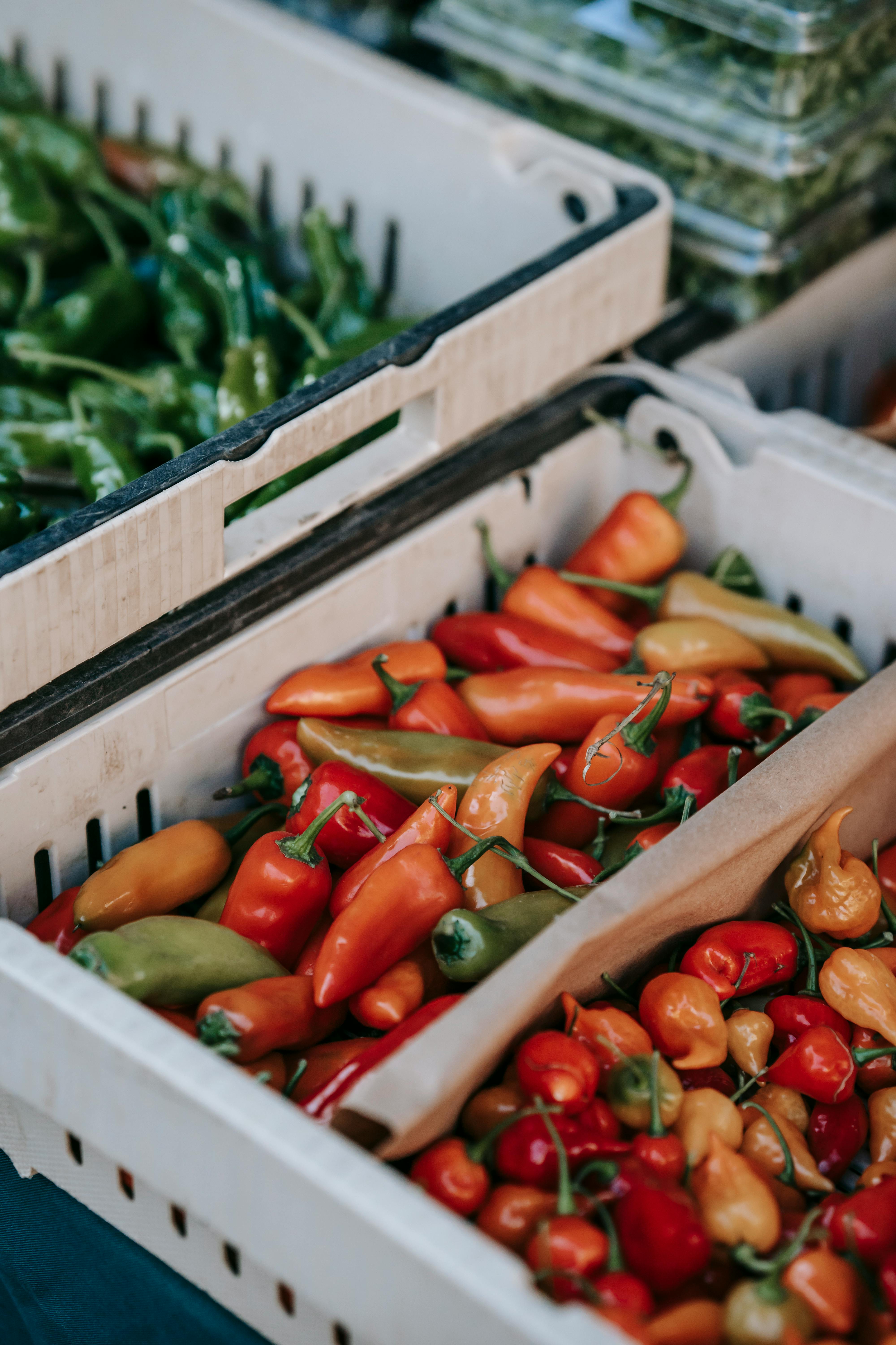 fresh peppers on farm market