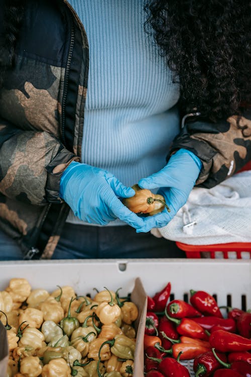 Crop faceless female buyer in blue protective gloves picking fresh peppers from box while choosing organic groceries in local food market during coronavirus pandemic