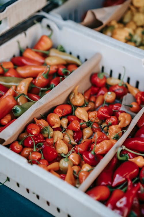 Stall with ripe capsicums in supermarket