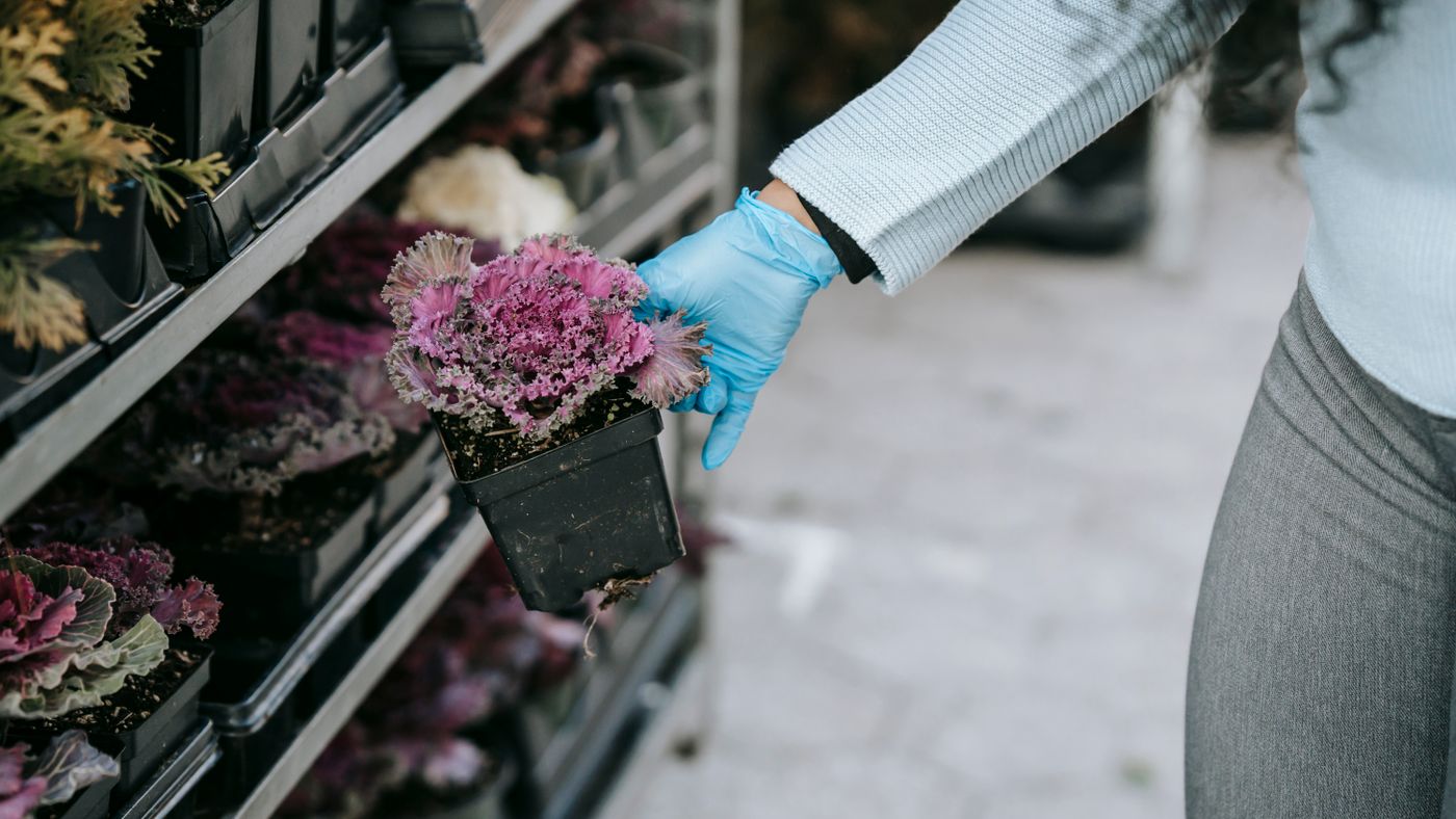 The Gardening Tools Actually Worth Buying (and the Ones You Can Skip)