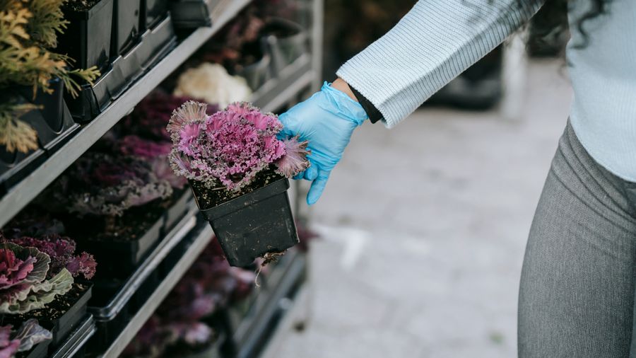 The Gardening Tools Actually Worth Buying (and the Ones You Can Skip)