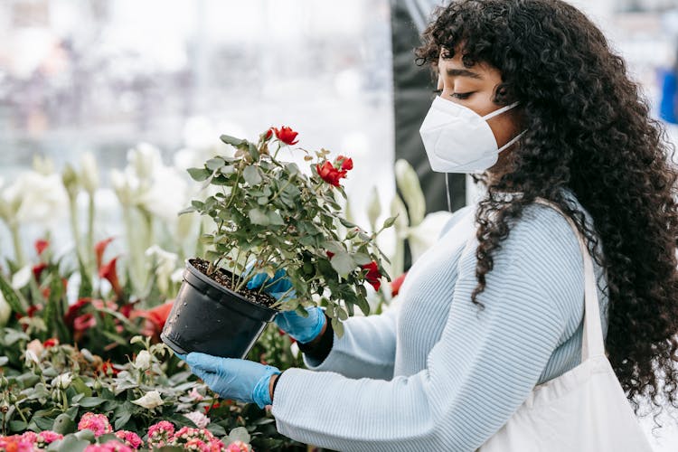 Crop Black Woman Choosing Potted Flowers In Florists Shop