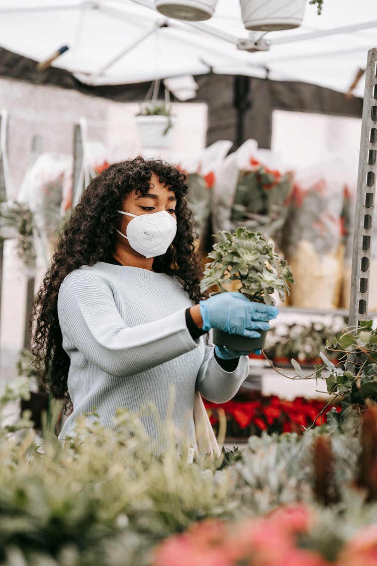 Black Woman Choosing Potted Succulent In Local Market