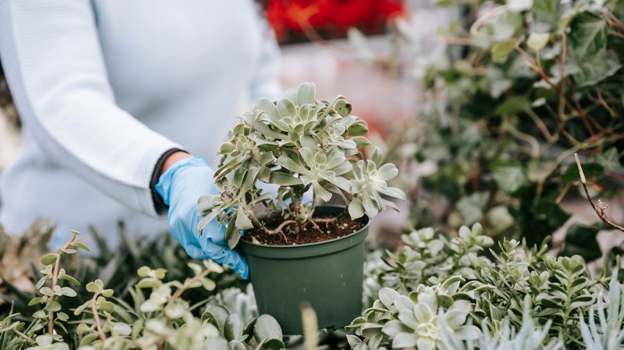 Picking Gardening Gloves That Fit the Actual Work