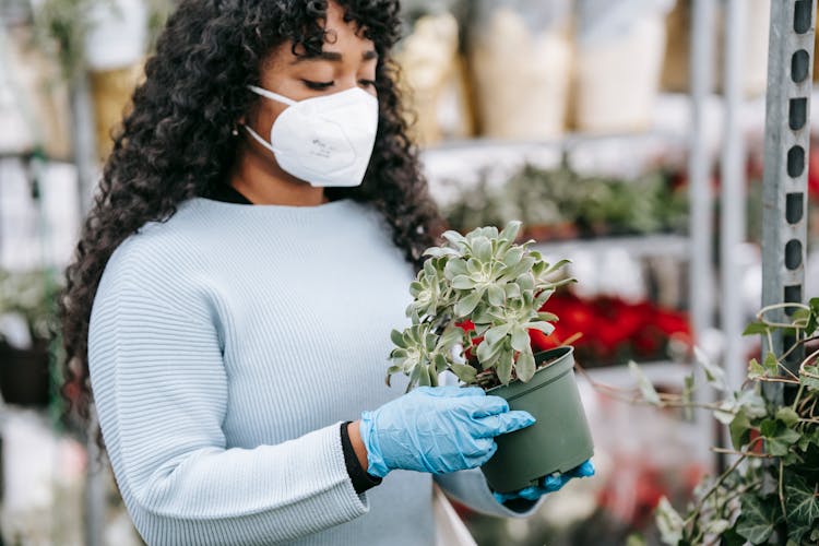 Crop Black Woman In Medical Mask With Potted Echeveria