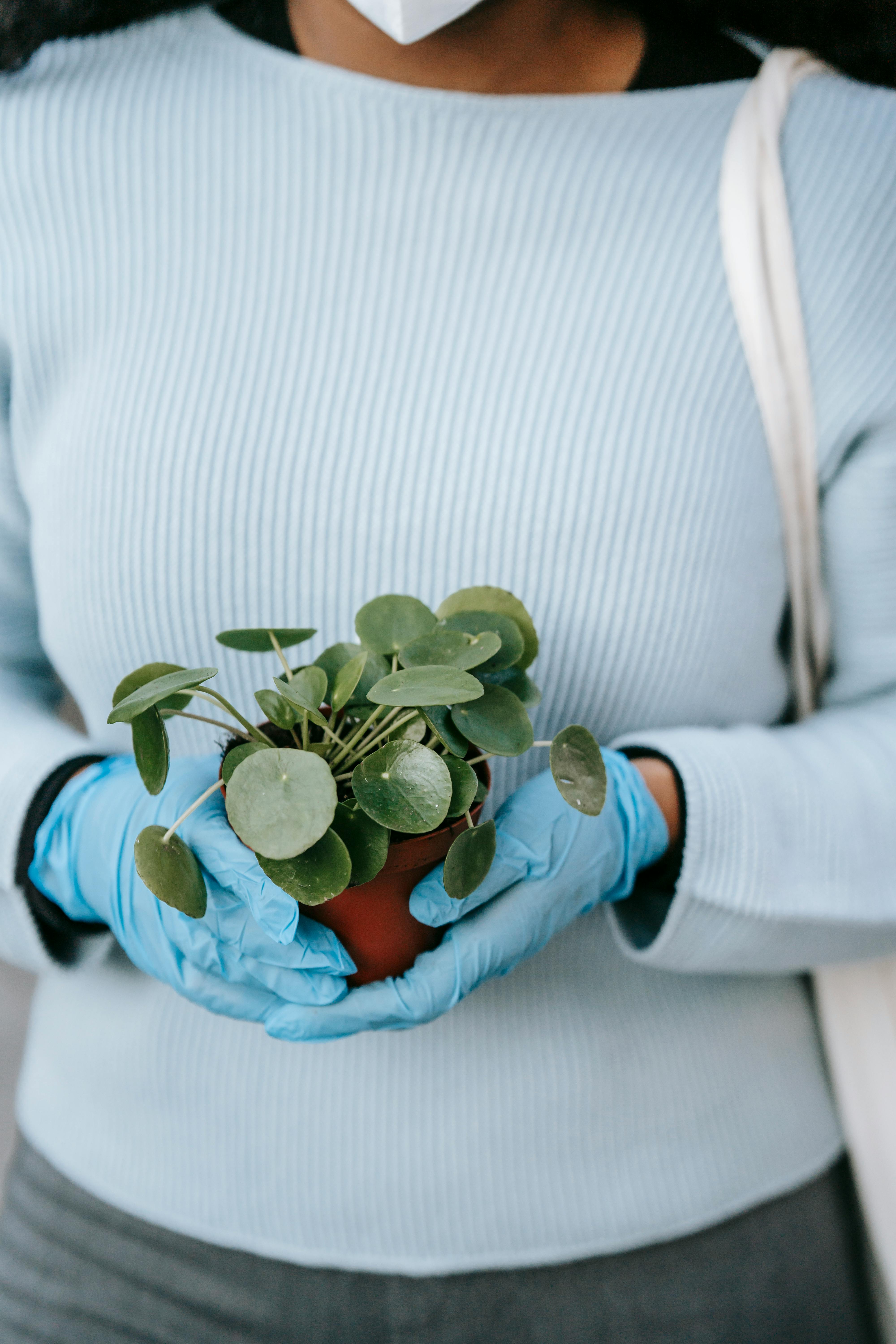 A faceless person wearing gloves holds a potted Pilea plant, symbolizing safety and growth.
