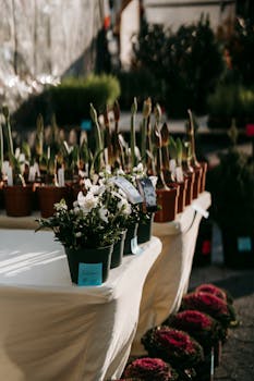 Assorted various blooming plants in pots placed on counter on street market in sunny day