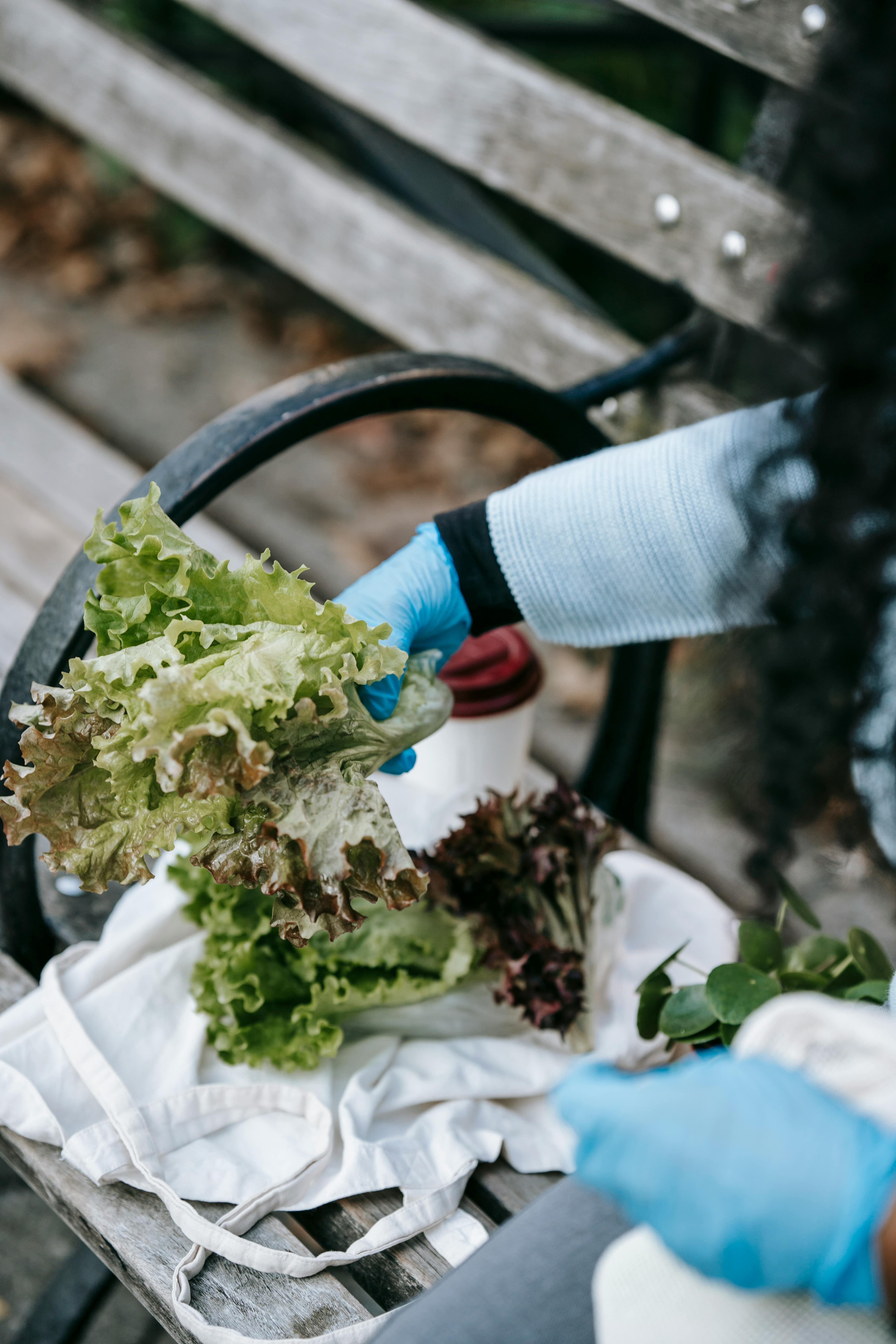 faceless lady in gloves on street bench with lettuce salad