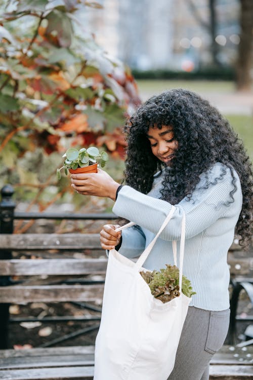 Free Side view of young African American woman standing in street with shopping bag with fresh greenery and with potted green plant near bench and bushes in city in daylight Stock Photo