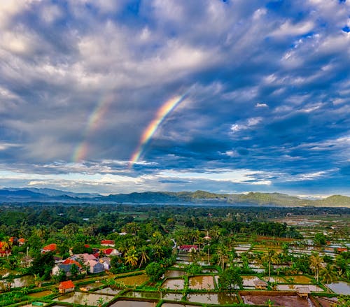 Blue sky with clouds and rainbow above village with buildings and rice plantations near green trees in sunny summer day