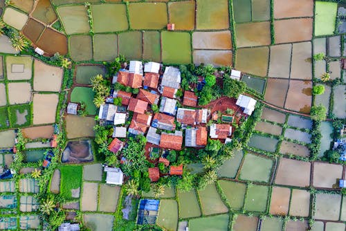 Drone view of small village with colorful residential houses located amidst various wet rice plantations in suburb area in countryside