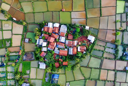 Free Drone view of small village with colorful residential houses located amidst various wet rice plantations in suburb area in countryside Stock Photo