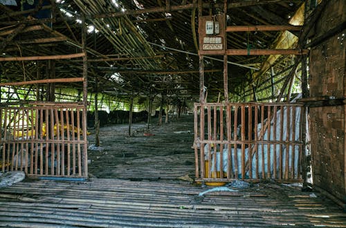 Shabby bamboo construction with wooden fences and weathered roof with thick branches located in rural area in countryside with plants