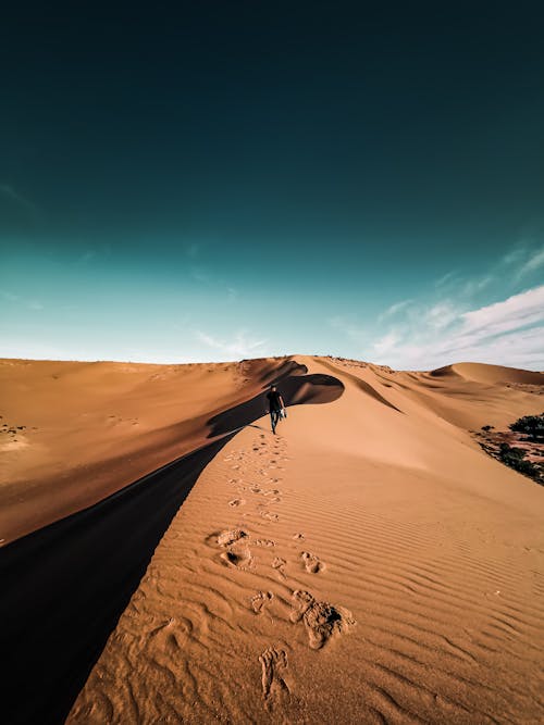 Free Man Walking on Top of Desert Mountain Stock Photo