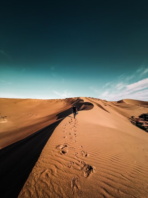 Free A person walks across towering sand dunes in the vast Moroccan desert under a clear blue sky. Stock Photo