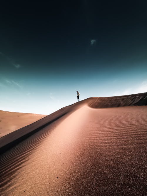 Free Man Standing in the Desert Stock Photo