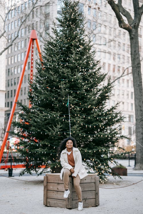 Full body smiling African American female wearing warm clothes sitting on wooden box near decorated street Christmas tree and looking at camera