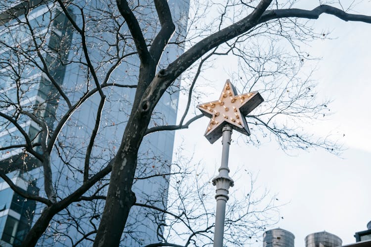 Decorative Streetlamp In Shape Of Star In Modern City District