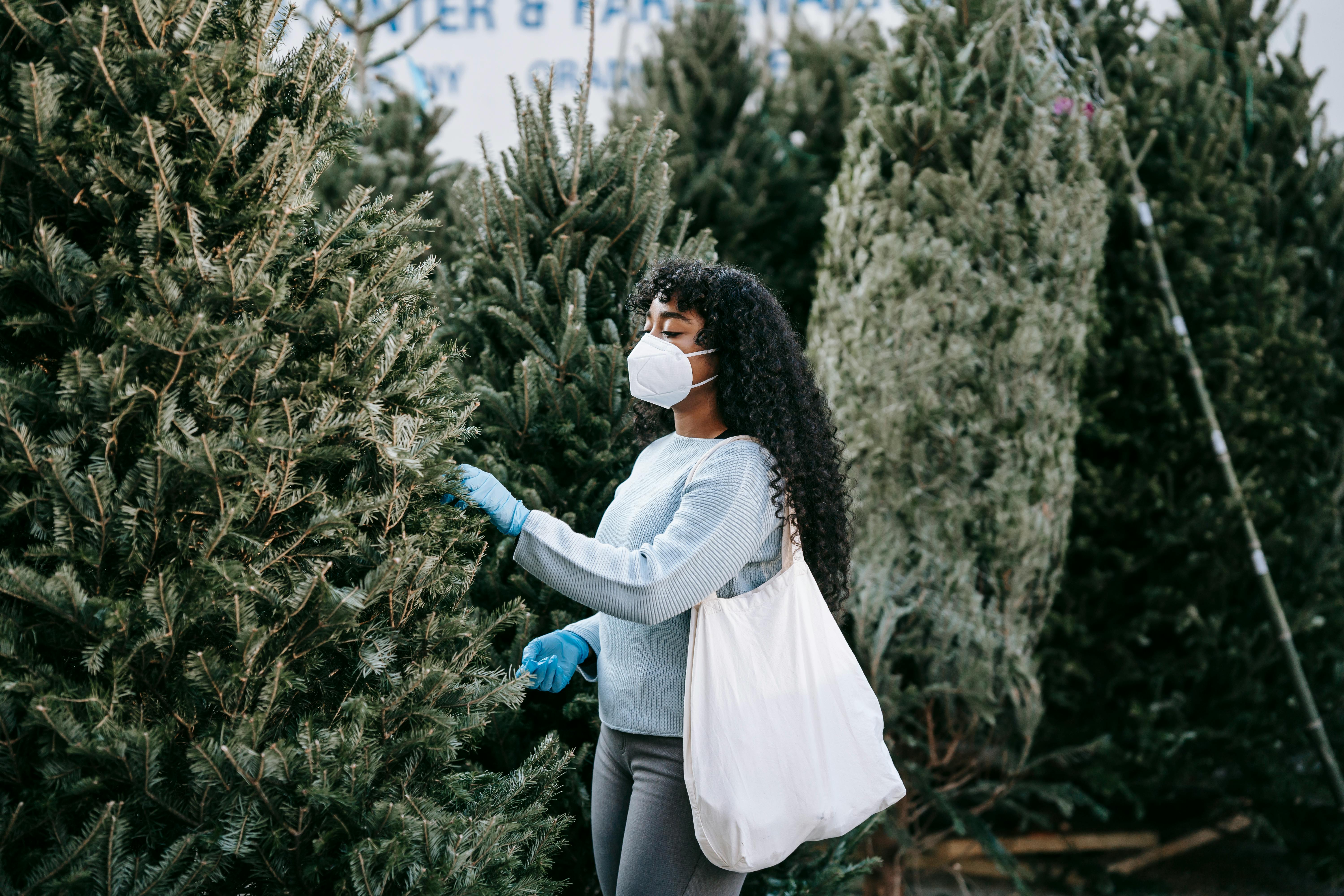 black woman in medical mask picking spruce tree