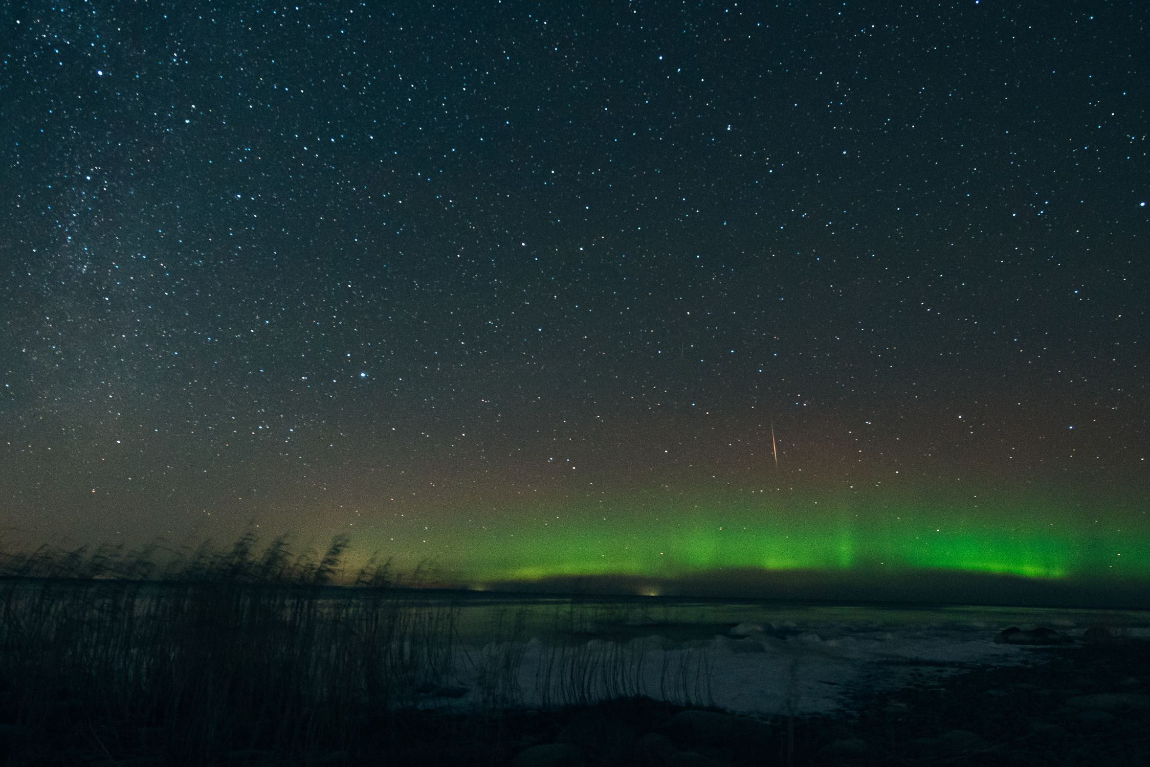 The Northern Lights on a Starry Night · Free Stock Photo